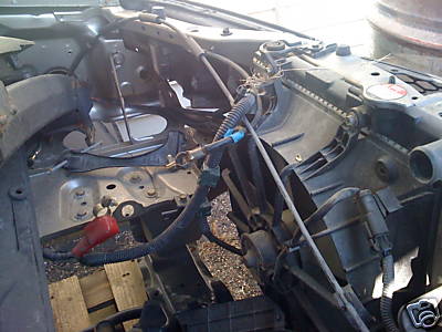e556_1.JPG