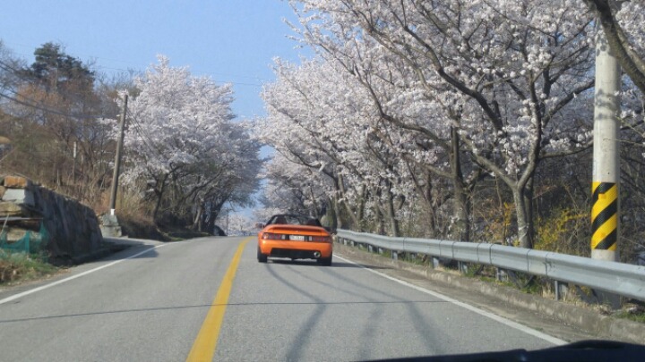 resized_20180403_143917_68193178.jpg : 엘란과 벚꽃길 드라이브^^ resized_20180403_143917_68193178.jpg : 엘란과 벚꽃길 드라이브^^