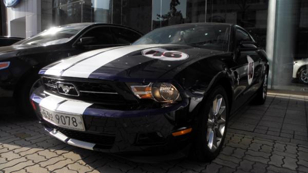 Mustang 005.jpg