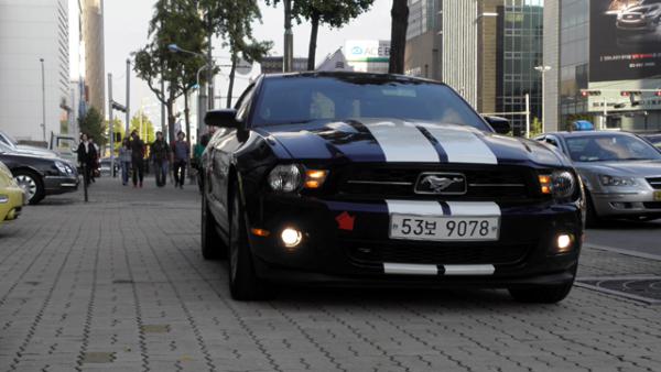Mustang 059.jpg