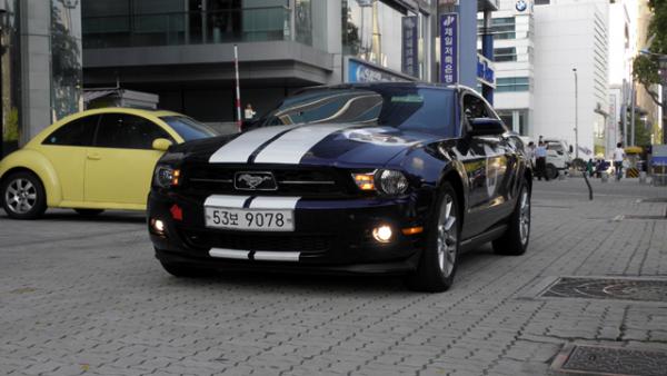 Mustang 063.jpg