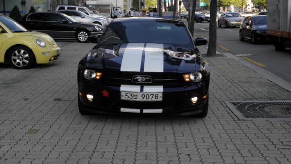Mustang 064.jpg
